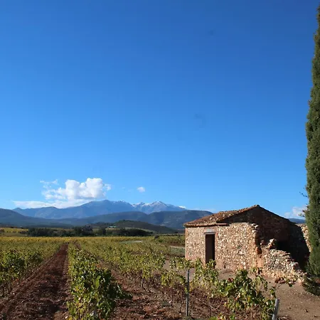Jardin De Camille Villa Llauro