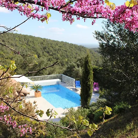 Jardin De Camille